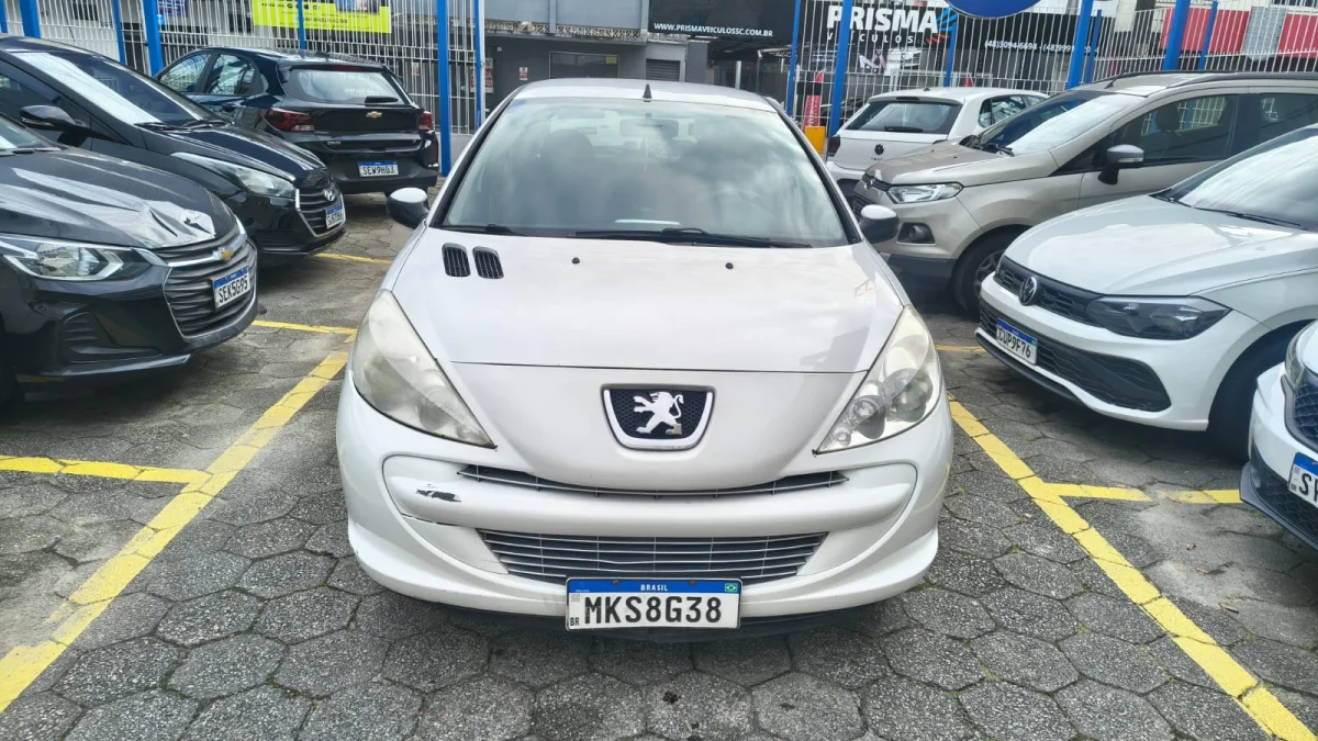  207HB XR 2013 - Imagem 2