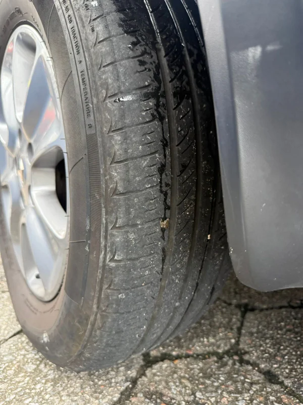 Duster Dynamique 1.6 Aut. 2020 - Imagem 11