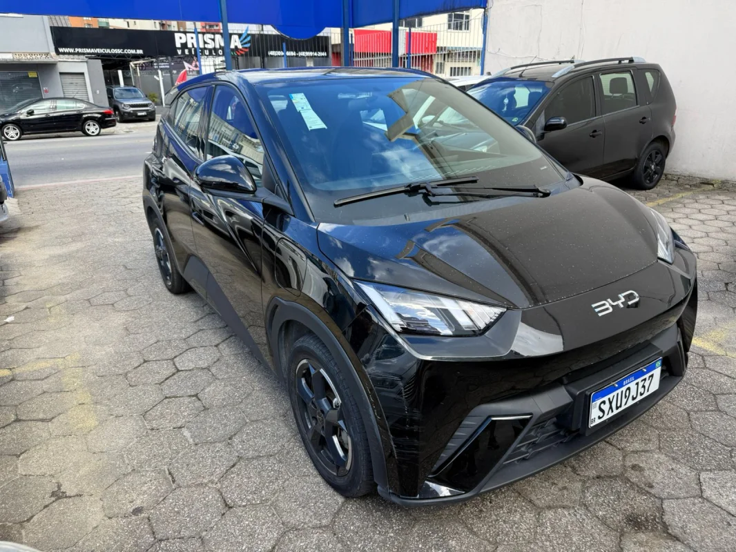 Dolphin Mini Elétrico 2025