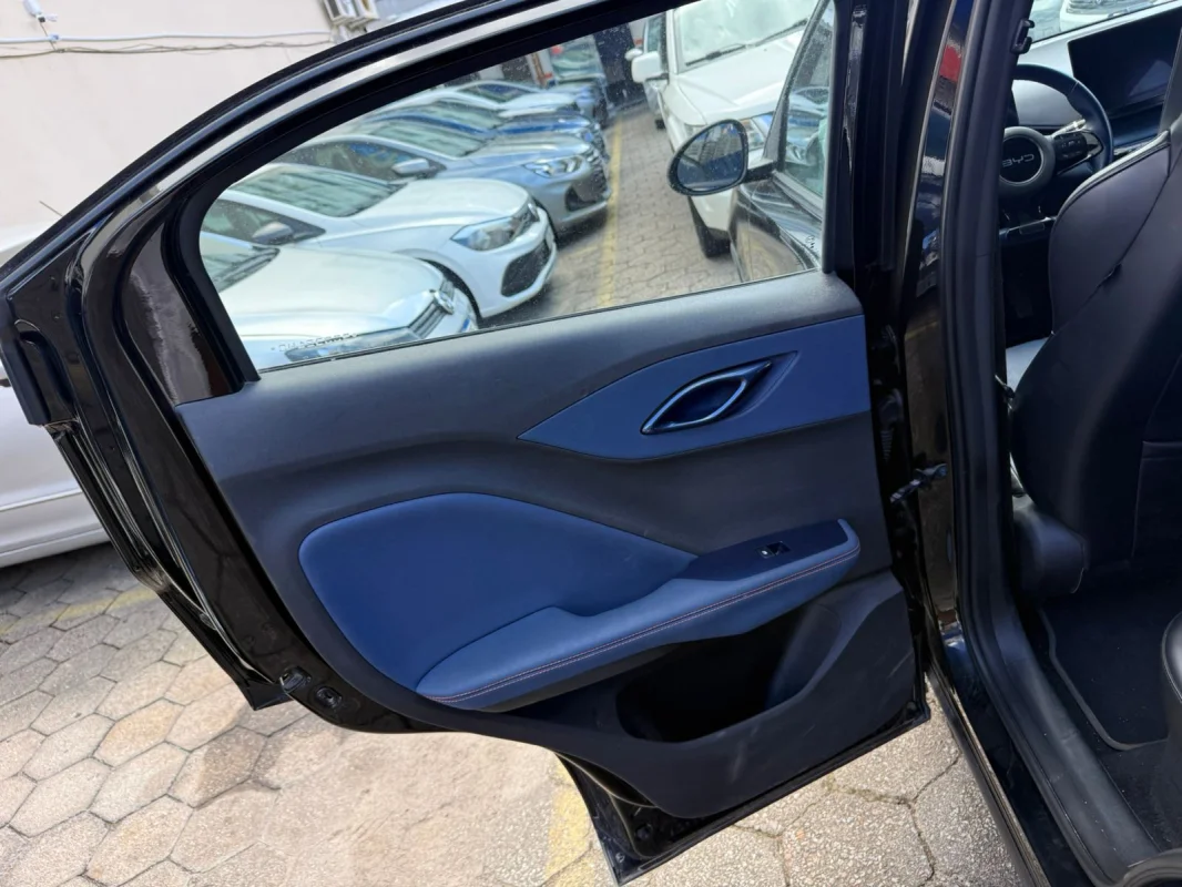 Dolphin Mini Elétrico 2025 - Imagem 14