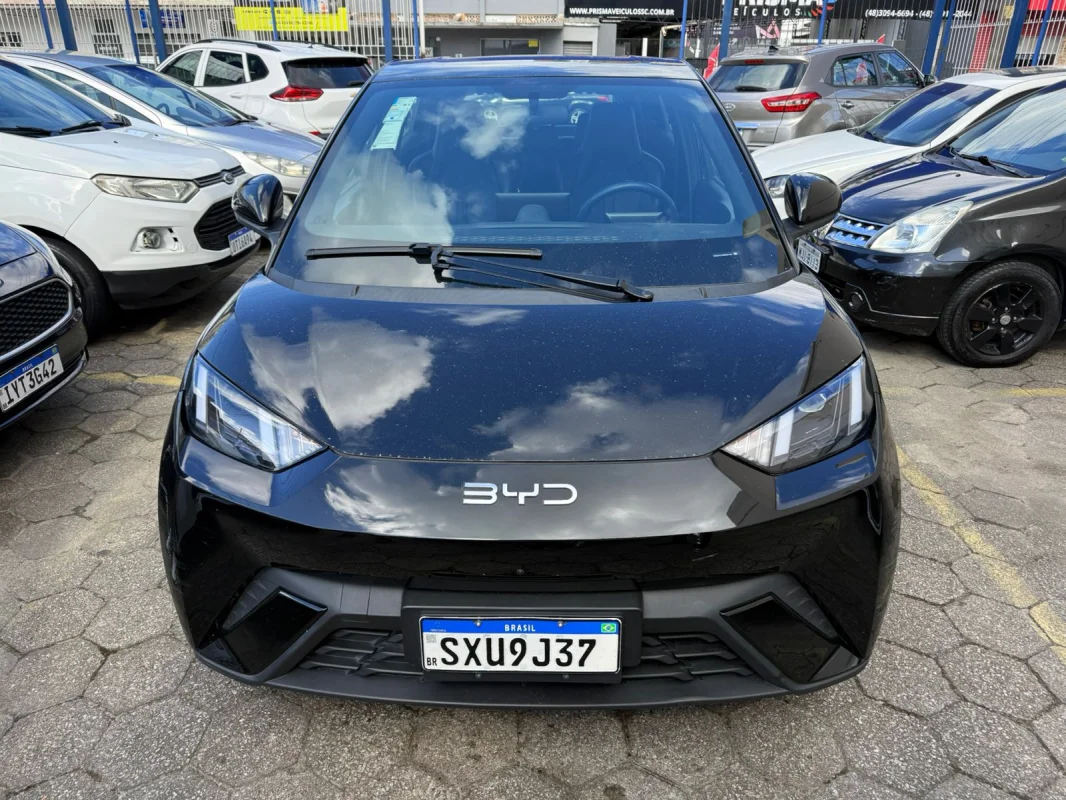 Dolphin Mini Elétrico 2025 - Imagem 2