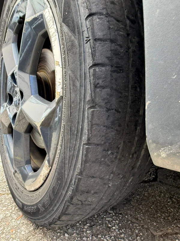 Dolphin Mini Elétrico 2025 - Imagem 18